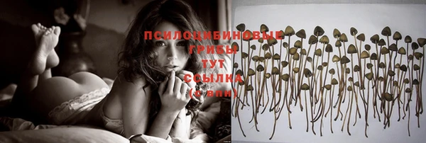 ешки Навашино