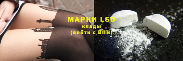 гашик Михайловск