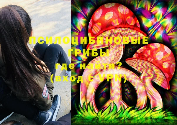 мяу мяу мука Надым